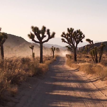 Modern Desert Dream - New Build トウェンティナイン・パームズ エクステリア 写真